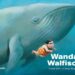 Kinderbuch "Wanda Walfisch" von Davide Calì und Sonja Bougaeva, Atlantis Verlag