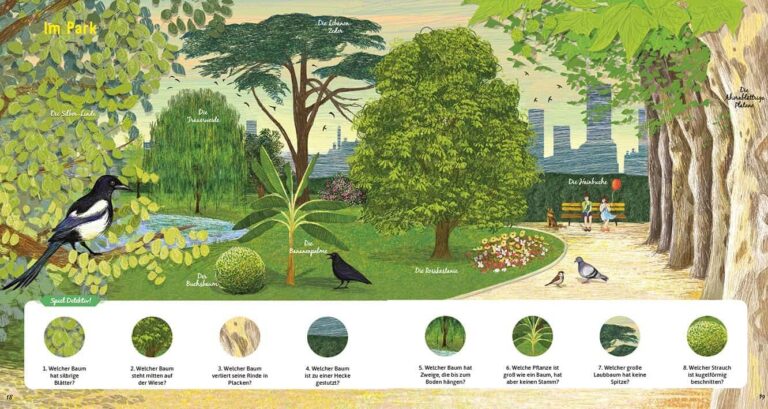 Sachbuch, Kinderbuch "Das große Buch der Bäume", Anaconda Verlag