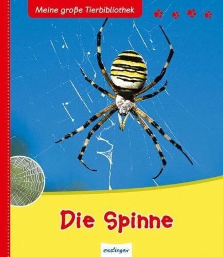Kinderbuch, Sachbuch "Die Spinne - Meine große Tierbibliothek"