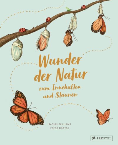 Kinderbuch "Wunder der Natur - zum Innehalten und Staunen", Rachel Williams, Freya Hartas, Prestel Verlag