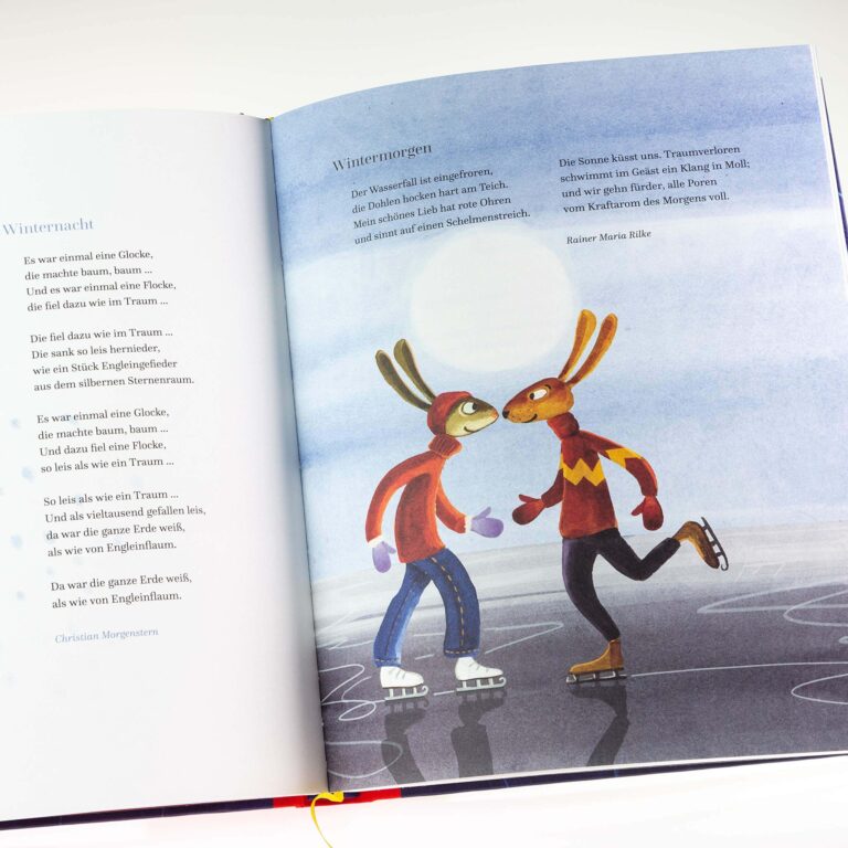 Hausbuch, Weihnachten, Kinderbuch "Ein Stern strahlt in der dunklen Nacht", Wiebke Andersen-Oberschäfer, Regina Kehn, Carlsen Verlag