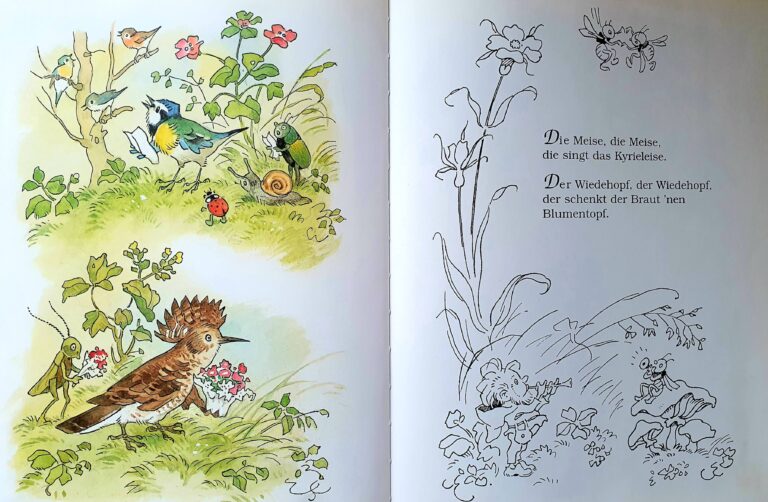Kinderbuch, Bilderbuch "Die Vogelhochzeit", Fritz Baumgarten