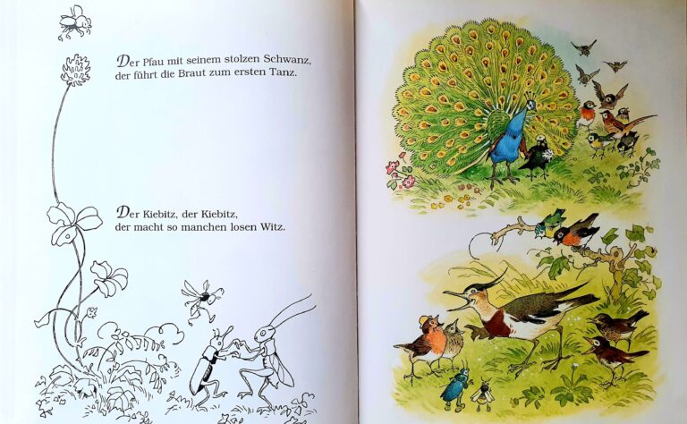 Kinderbuch, Bilderbuch "Die Vogelhochzeit", Fritz Baumgarten