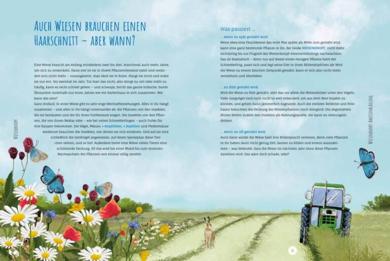 Kinderbuch, Sachbuch "Die Wildwiese", Angelika Huber-Janisch, Knesebeck Verlag