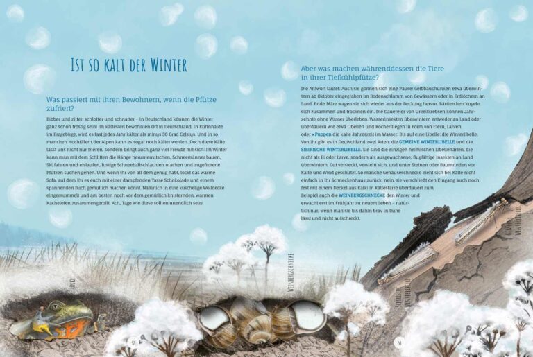 Kinderbuch, Sachbuch "Die Pfütze", Angelika Huber-Janisch, Annette Zacharias Knesebeck Verlag