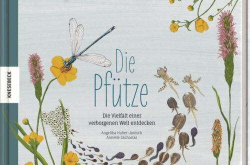 Kinderbuch, Sachbuch "Die Pfütze", Angelika Huber-Janisch, Annette Zacharias Knesebeck Verlag