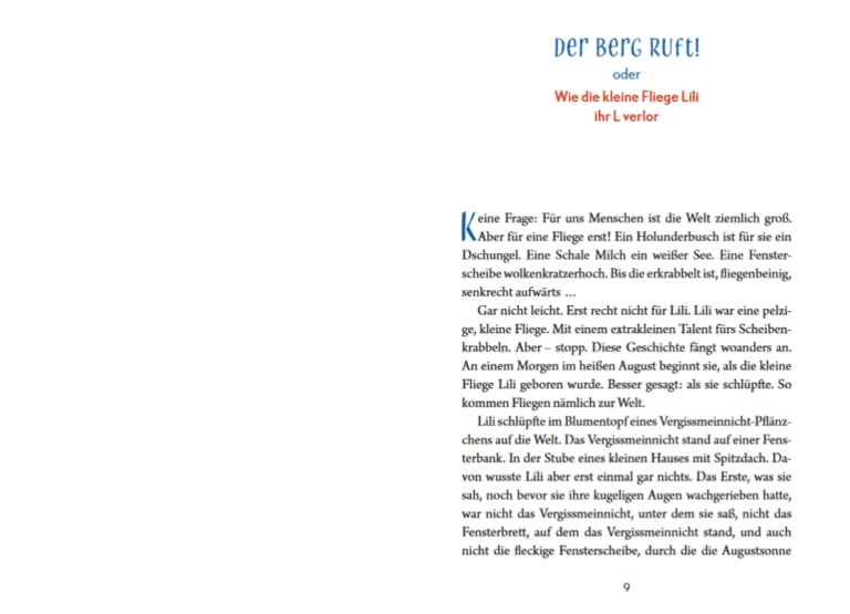 Kinderbuch, Kinderroman "Ganz oben fliegt Lili", Julia Willmann, Alexandra Junge, Peter Hammer Verlag