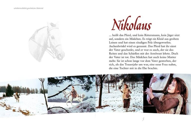 Buch zum Film "Drei Haselnüsse für Aschenbrödel", Bozena Nemcova, Eulenspiegel Kinderbuchverlag