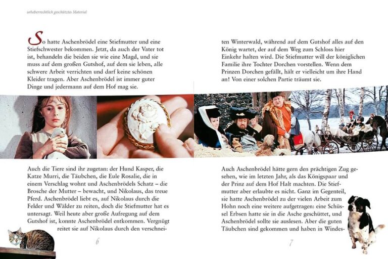 Buch zum Film "Drei Haselnüsse für Aschenbrödel", Bozena Nemcova, Eulenspiegel Kinderbuchverlag