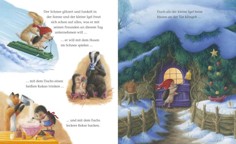 Kinderbuch, Weihnachtsbuch "Der kleine Igel und der turbulente Weihnachtstag", M Christina Butler, Tina Macnaughton, Brunnen Verlag