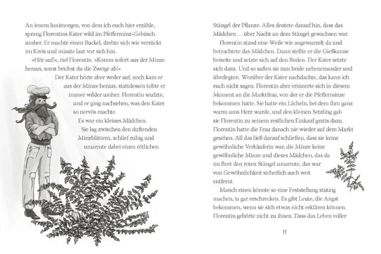 Kinderbuch, Kinderroman "Mentha - Ein märchenhaftes Abenteuer", Iva Procházková, Su Ehlers, Ferdinand Hauser, Woow Books